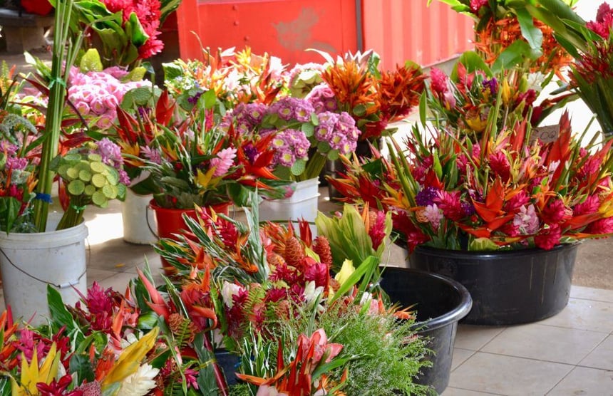 Best Shopping Centres in Vanuatu