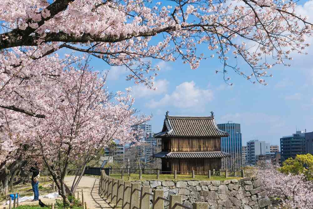 Fukuoka-Castle-Ruins