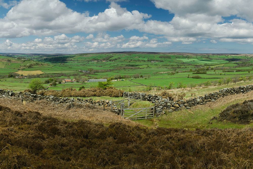 North-York-Moors-National-Park