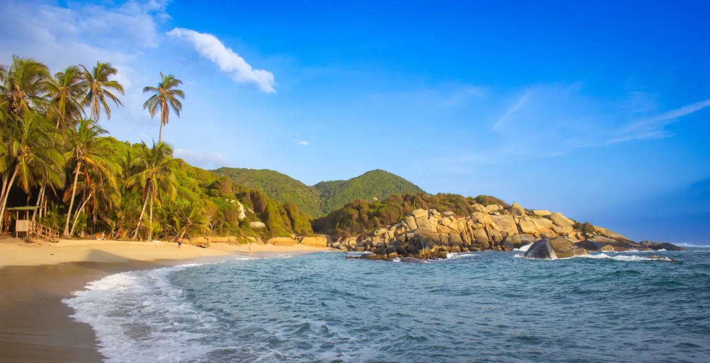 Palm-lined beach with turquoise water and cliffs in Tayrona National Park, Colombia
