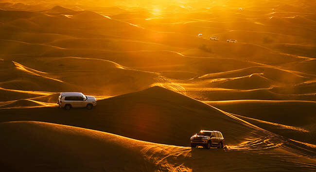 Desert Safari - shutterstock_2454299995