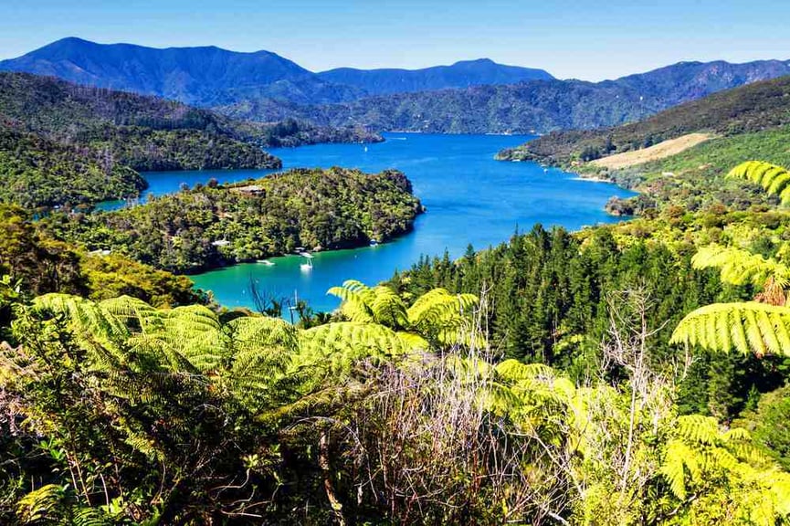 Marlborough Sounds, Picton