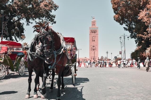 Medina of Marrakech