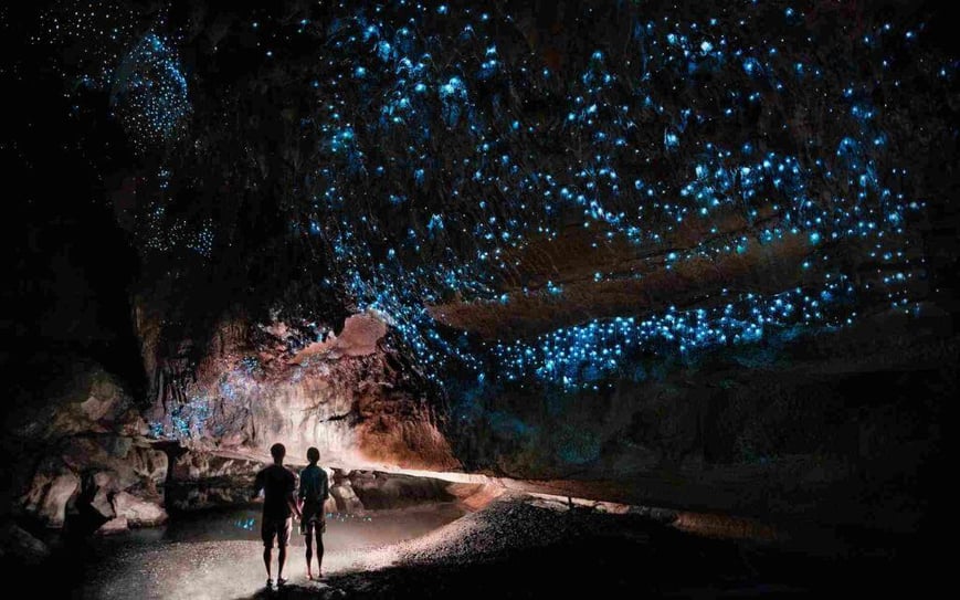 Waitomo-Glowworm-Caves-Waitomo