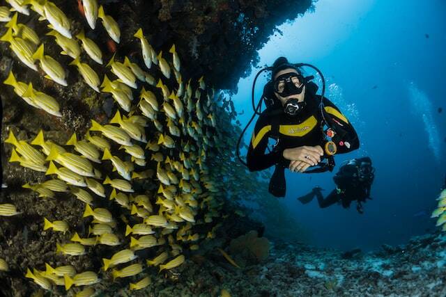 snorkelling fiji