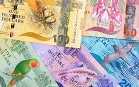 fiji notes