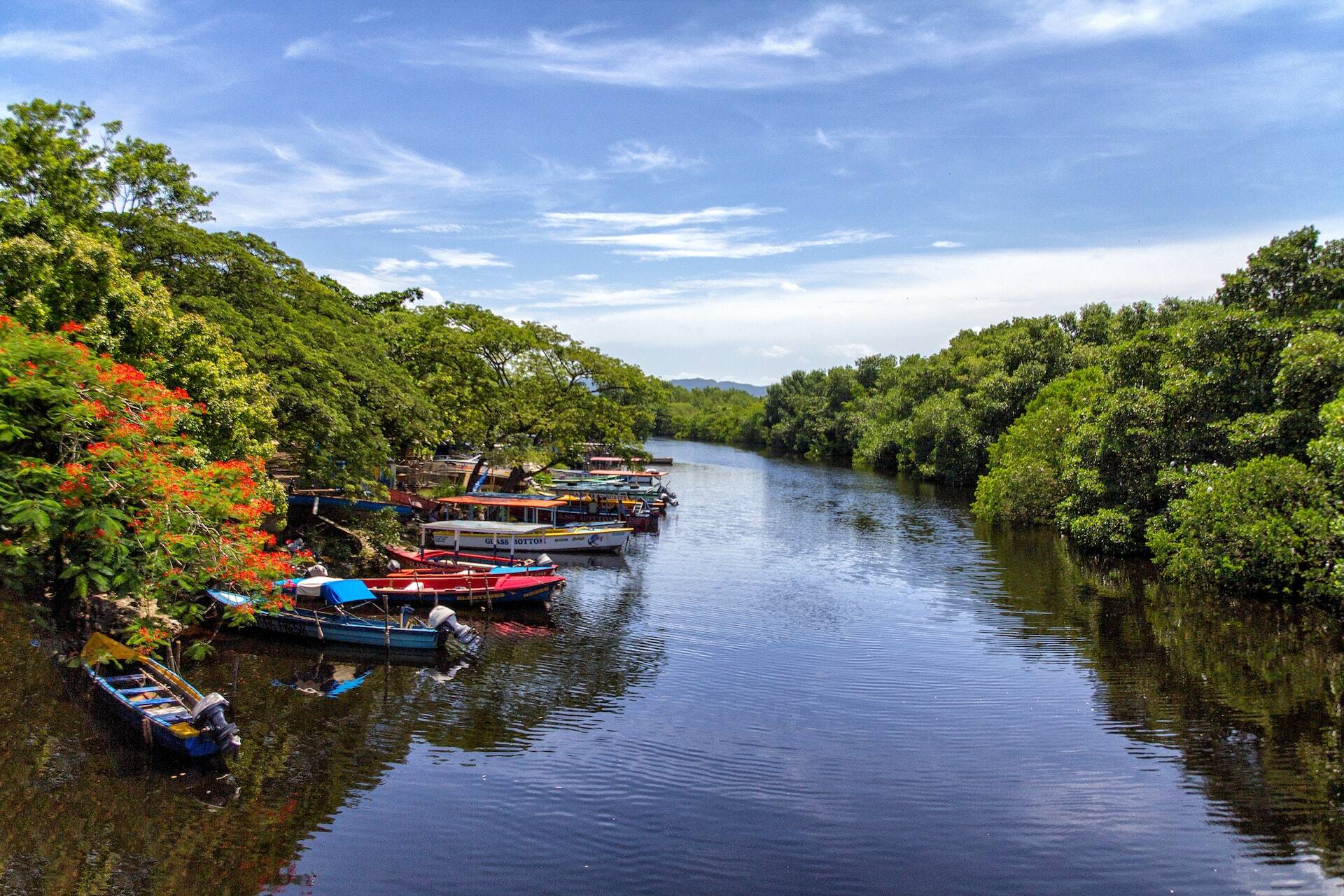 Jamaican River