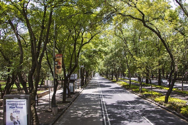 Chapultepec Park