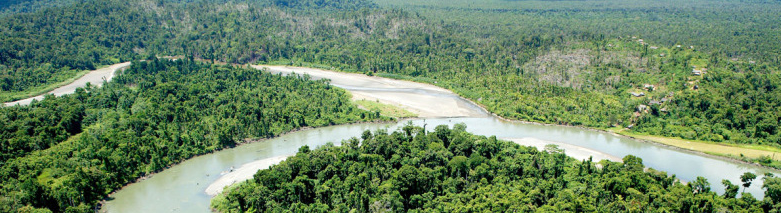 Sepik River