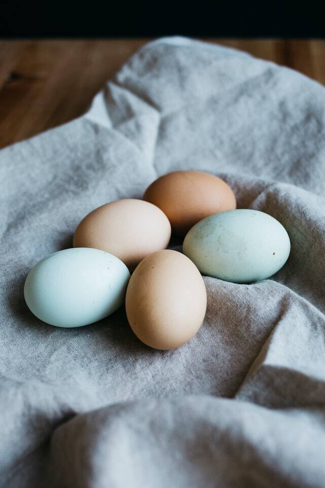 philippine balut