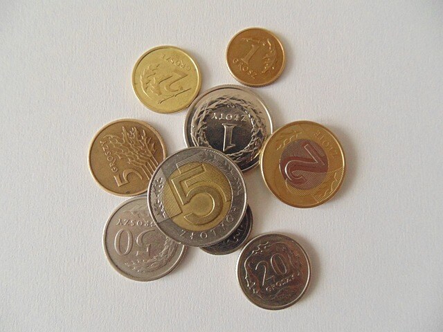 Polish coins