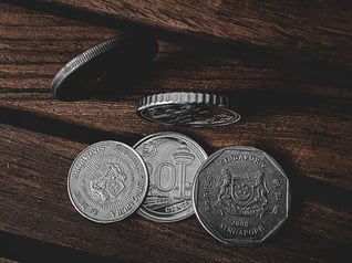 singaporean coin