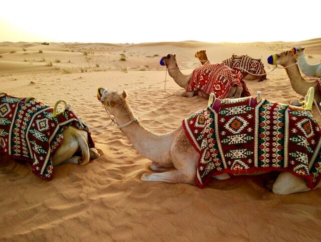 Desert Safari, United Arab Emirates