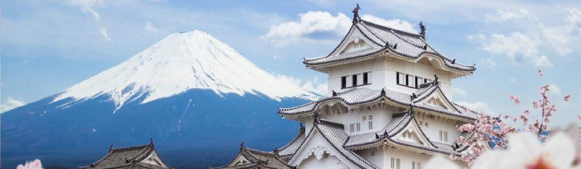 What is the Best Time to Visit Japan?